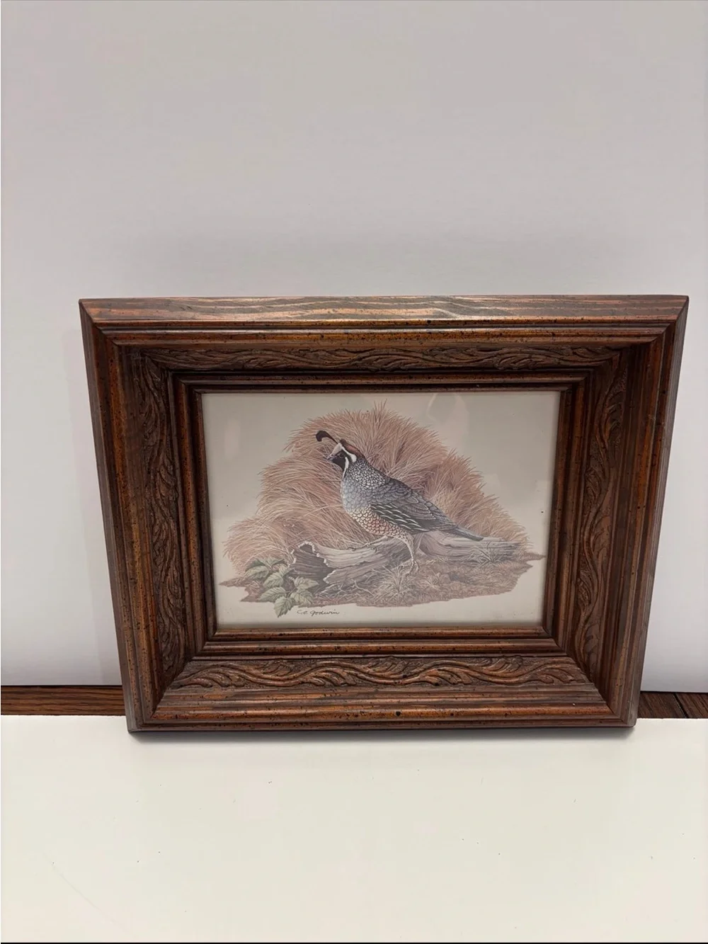 N/A vintage quail